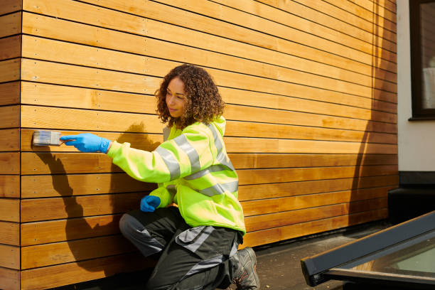 Best Siding Painting and Refinishing  in Whitmire, SC